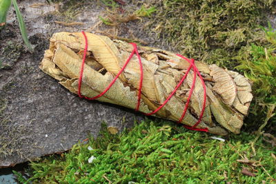  Yerba Santa - Heiliges Kraut Stick - Smudge Eriodictyon ssp.