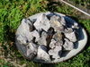 Copal negro Saumerio (Peru) - Dacryodes peruviana