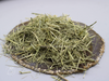 Zitronengras-Lemongras-Ostindisches-Cymbopogon-.flexuosus