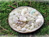 Weihrauch - Al Hojari Grad 1 (Oman) - Broswellia sacra
