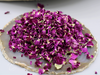 Rose de Resht