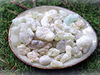 Weihrauch - Al Hojari Grad 1 (Oman) - Broswellia sacra