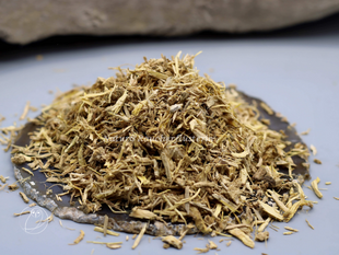 Erz-Engelwurz-Wurzel-Angelica archangelica