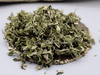 Beifuß-Ligurischer-Artemisia spez.