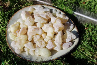 Weihrauch - Superior White silber AL-Hojari Grad 2 Oman - Broswellia sacra