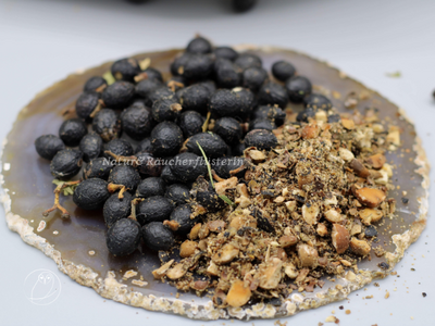 Lorbeer-Beeren-Laurus-nobilis