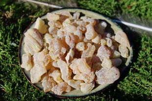 Weihrauch Smalia Grade 1 - Broswellia carterii