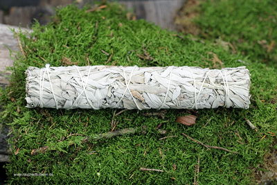 Weißer Salbei Stick - White Sage - Smudge Stick Indianersalbei - Salvia alpina