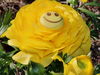 Gute Laune