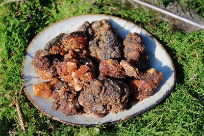 Opoponax Hadi (1. Qualität) - Commiphora guidotti