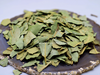 Lorbeer-Laurus-nobilis