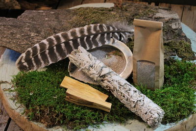 Smudge Set - White Sage - Palo Santo II