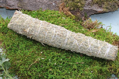Shasta Sage Smudge - Blauer Salbei Stick - Artemisia californica