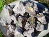 Copal negro Saumerio (Peru) - Dacryodes peruviana