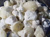 Copal Blanco (Mexico) - Copal blanco Proticum