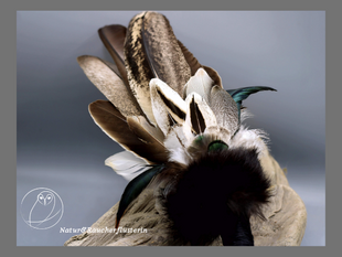 Räucherfächer - Pfau