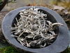Weisser Salbei lose