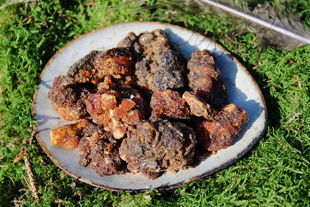 Opoponax Hadi (1. Qualität) - Commiphora guidotti