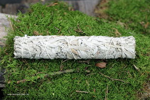Weißer Salbei Stick - White Sage - Smudge Stick Indianersalbei - Salvia alpina
