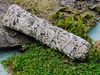 Weißer Salbei Stick - White Sage XL