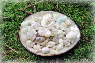 Weihrauch - Al Hojari Grad 1 (Oman) - Broswellia sacra