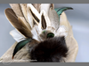 Räucherfächer - Pfau