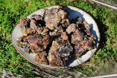 Zirbenharz (Spezialität/Zirbelkiefer) - Pinus cembra sibirica