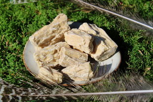 Sal Harz / Raab Harz - Shore rubusta