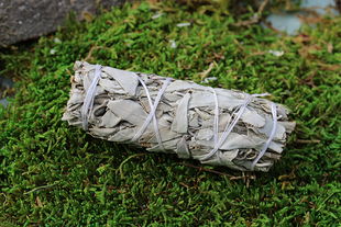 Weisser Salbei Stick