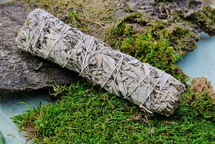 Weißer Salbei Stick - White Sage XL